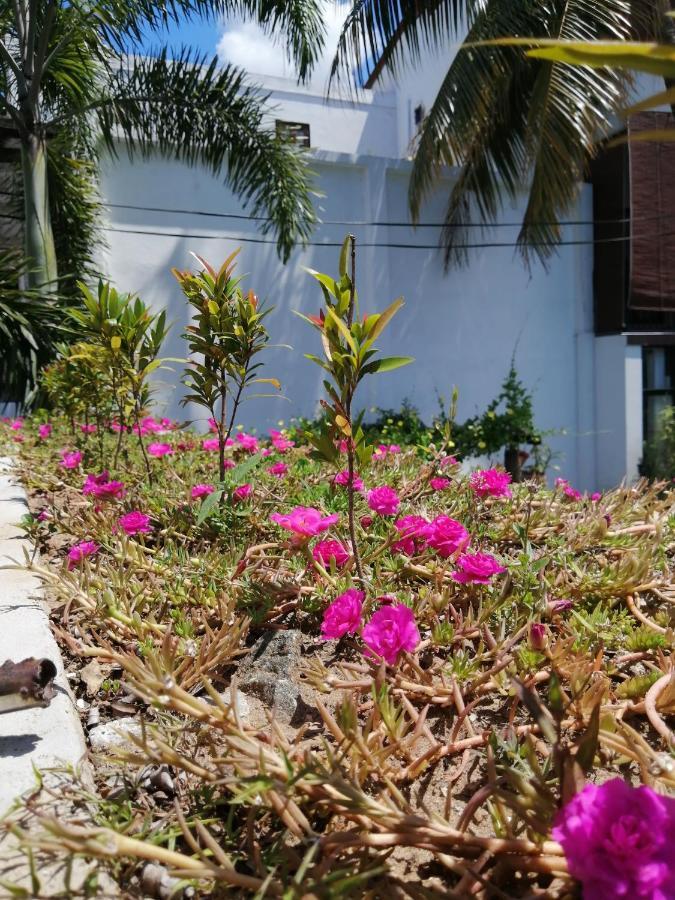 Ibis Apartment Udawalawe Bagian luar foto
