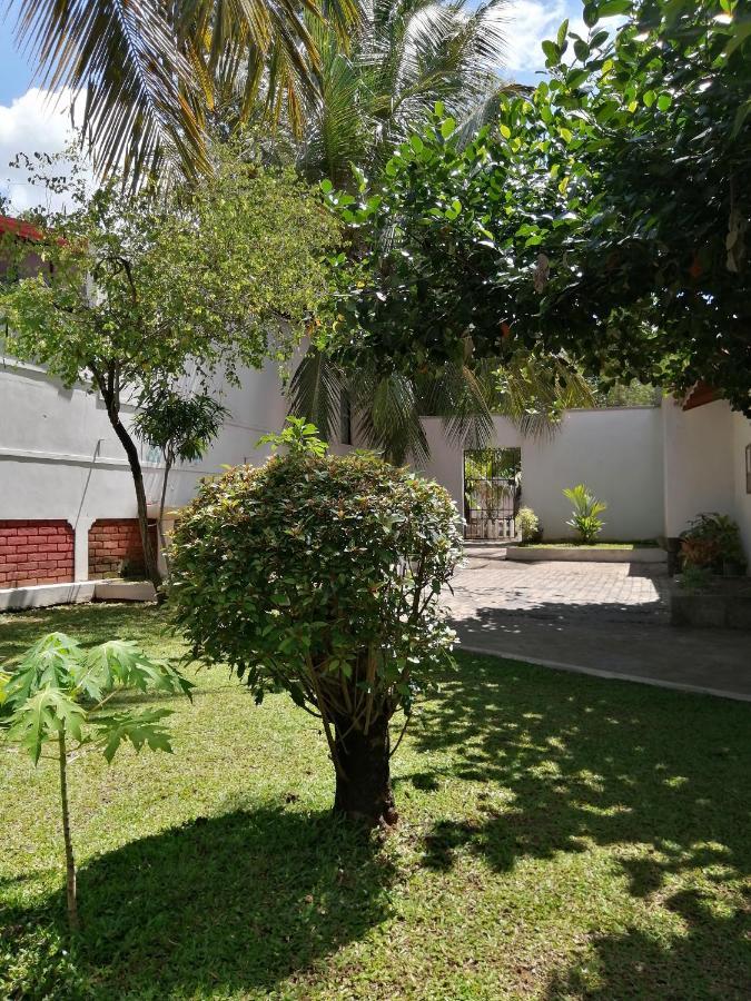 Ibis Apartment Udawalawe Bagian luar foto