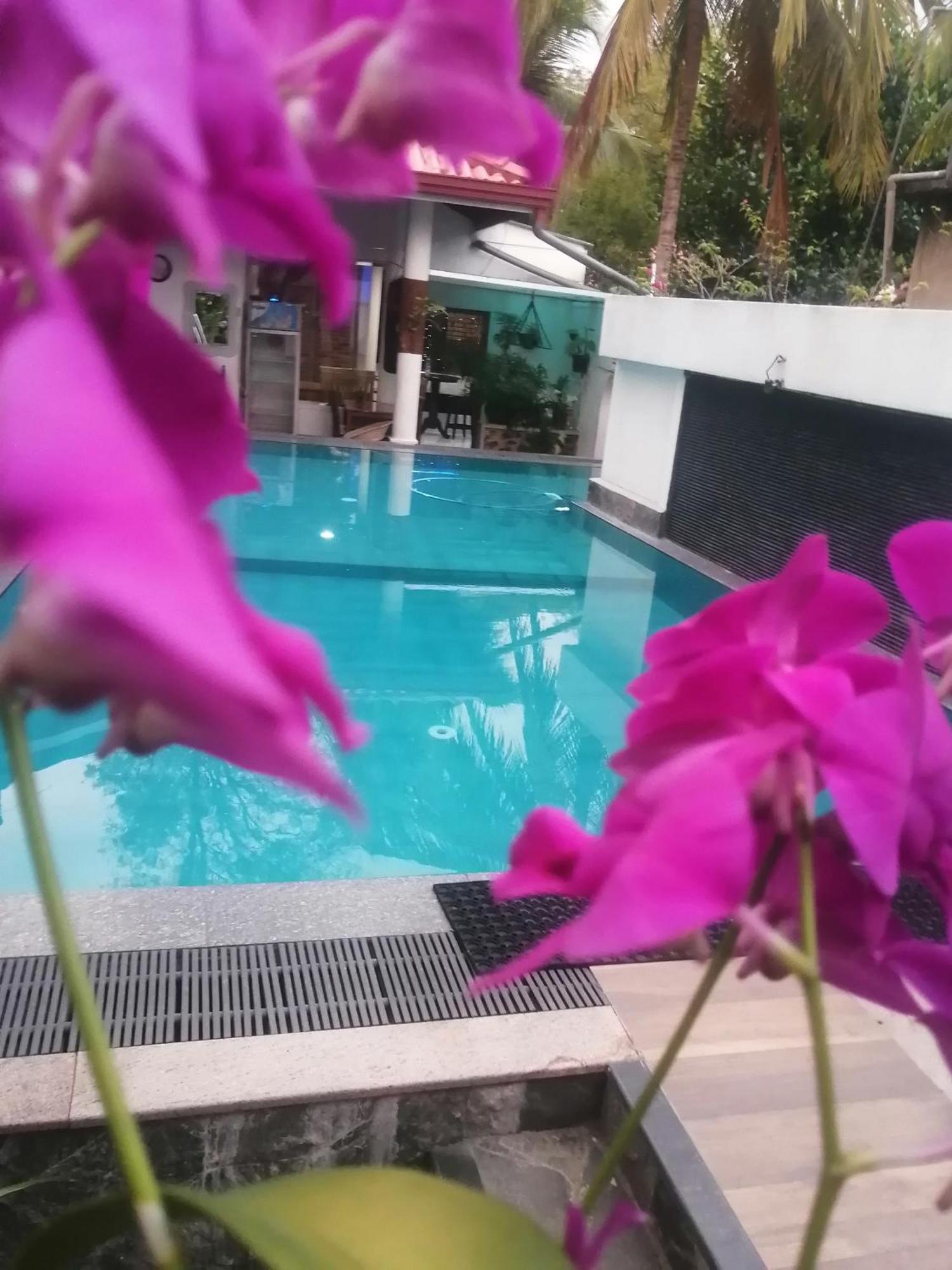 Ibis Apartment Udawalawe Bagian luar foto