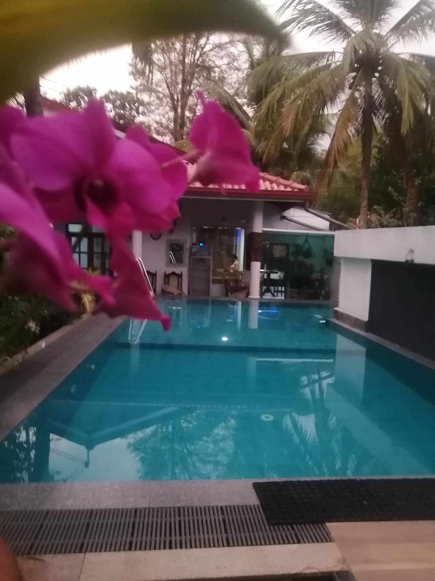 Ibis Apartment Udawalawe Bagian luar foto